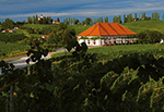 Puklavec Family Wines