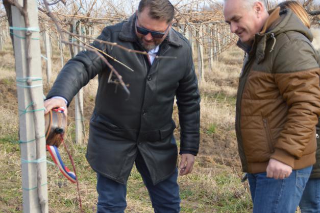 Rezidbu je svečano započeo Ivan Ergović, prvi čovjek Feravina