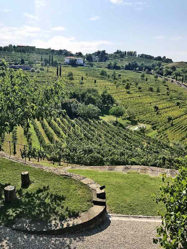 Joško Gravner