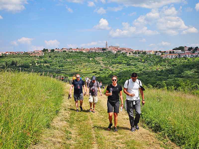 Istria Wine & Walk