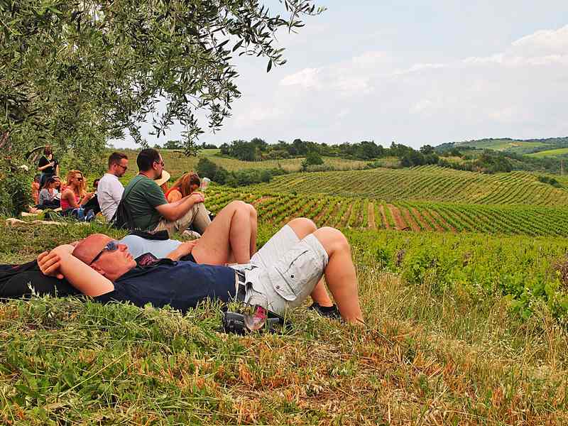 Istria Wine & Walk