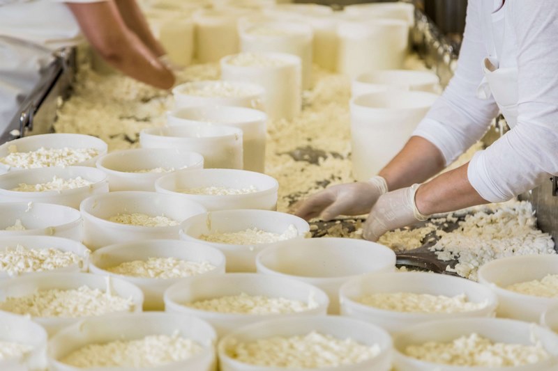 Istarski sirevi Špin odnijeli čak dvije Global Cheese Awards nagrade