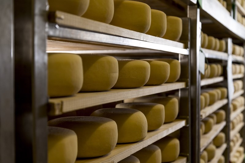 Istarski sirevi Špin odnijeli čak dvije Global Cheese Awards nagrade