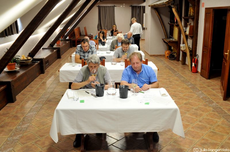 1. Summer Riesling Tasting_Međimurje _ocjenjivanje