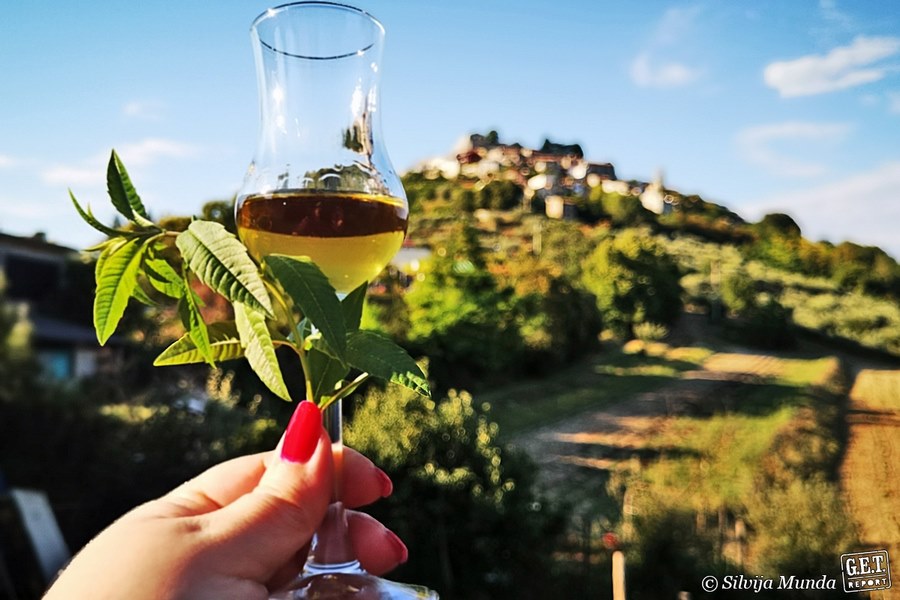 Vinarija Novak, Motovun