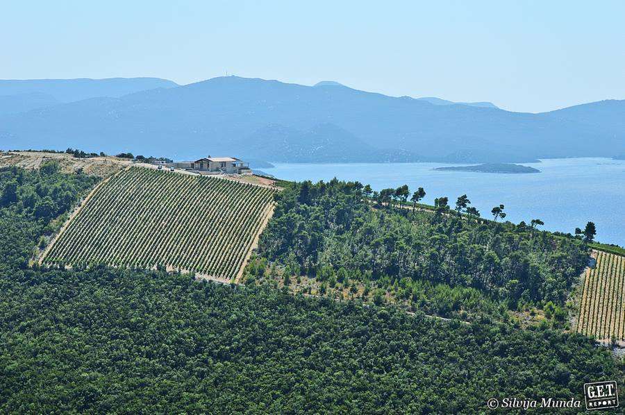 Vinarija Terra Madre