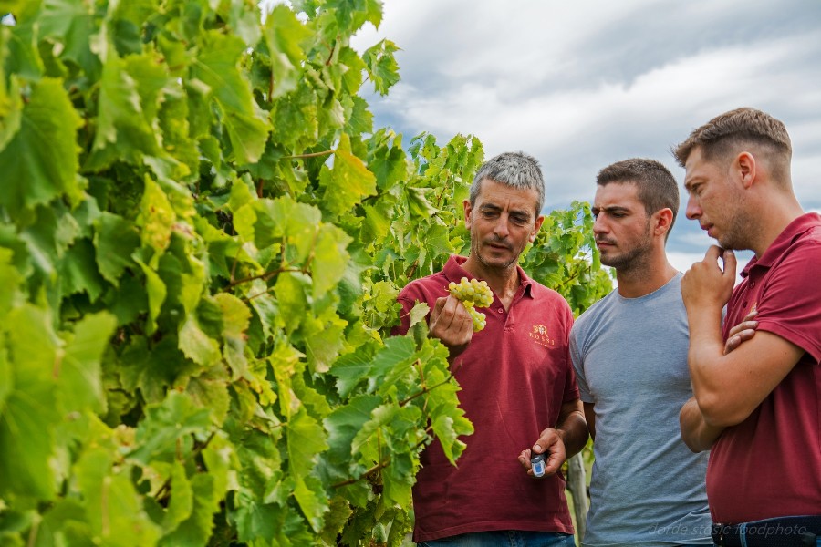 Rossi Teranino oduševio stručnjake, stigla priznanja s natjecanja The EUROPE Wine & Spirits TROPHY