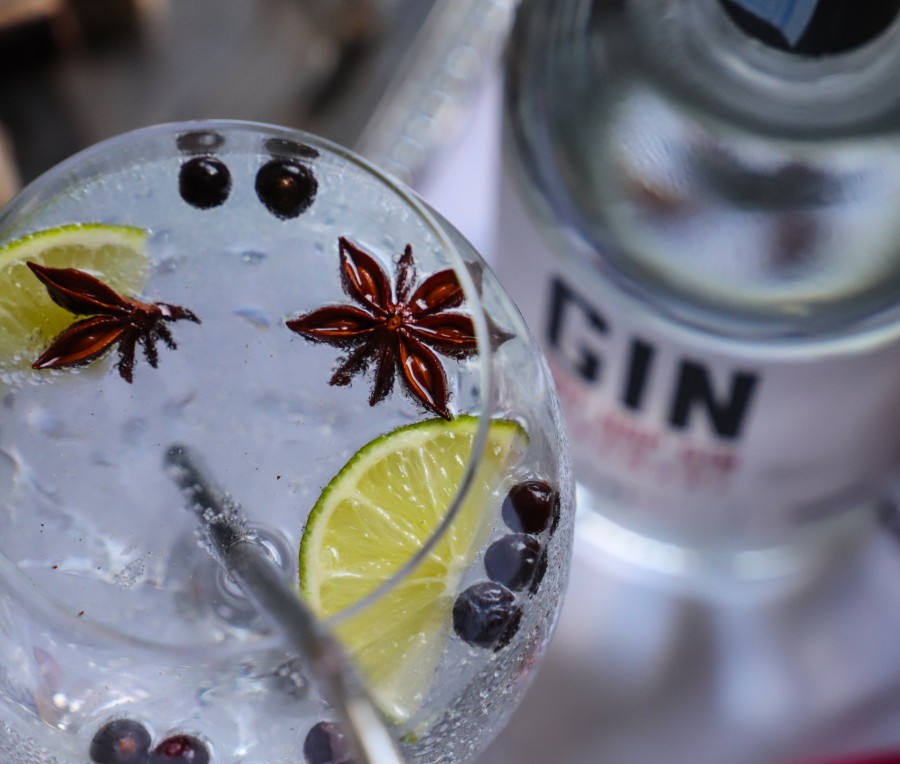 Gin, foto: Ena Kokanović