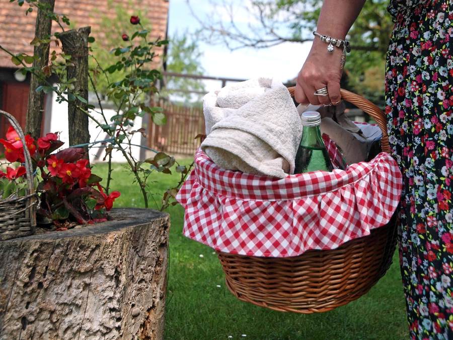 PIKNIKA - odličan način za uživanje u hrani i prirodi dok drugi kuhaju za vas!