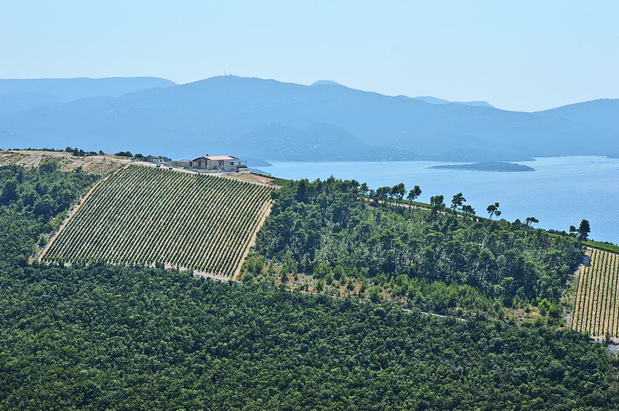 Vinarija Terra Madre - pogled na Neretvanski zaljev od kojeg zastaje dah