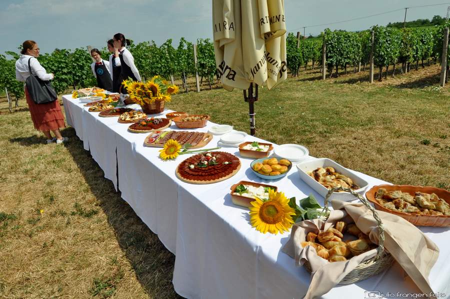 Održan  2. Pjenušavi srijemski doručak u vinogradu