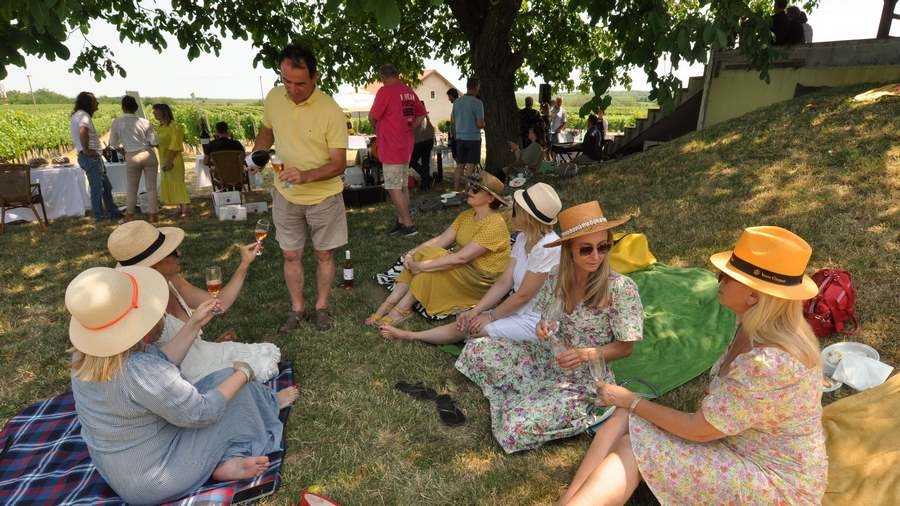 Održan  2. Pjenušavi srijemski doručak u vinogradu