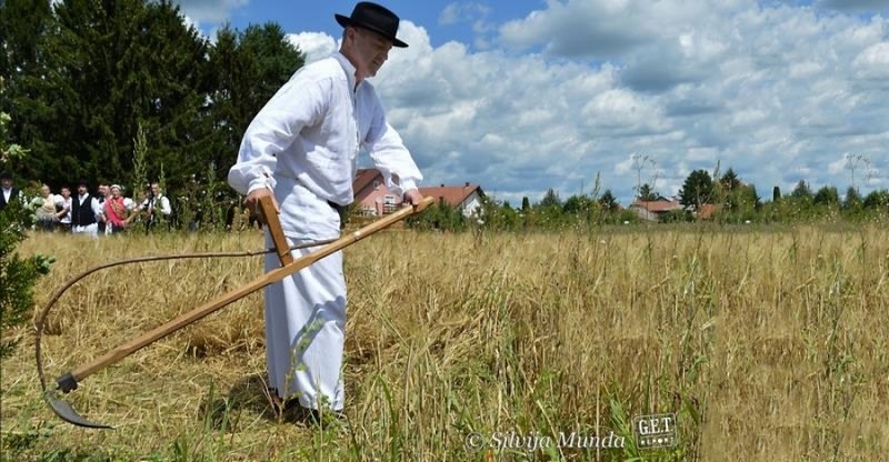 Mamičina žetva 2017