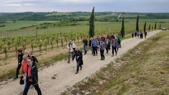 Istria Wine &amp; Walk: Vrhunski istarski vinari oduševili šetače