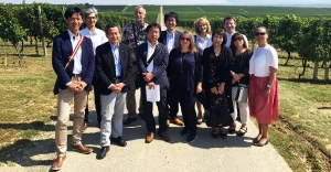 Japanski kupci traže hrvatska vina