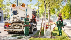 U Beču se svake godine posadi 4.500 novih stabala