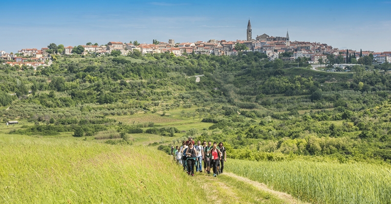 Završen prvi Istria Wine &amp; Walk