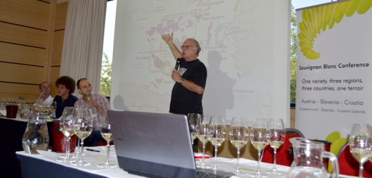 Održana internacionalna vinska konferencija o Sauvignon Blancu