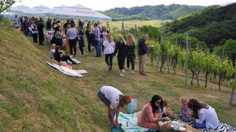 Održan je prvi hrvatski pjenušavi doručak u vinogradu