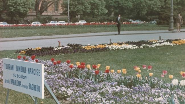 Mali vremeplov dugovječnog Floraarta