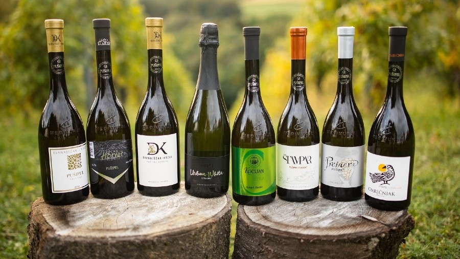 Pušipel – vinska sorta koja sve više kroji budućnost međimurskog vinogradarstva, ali i turizma