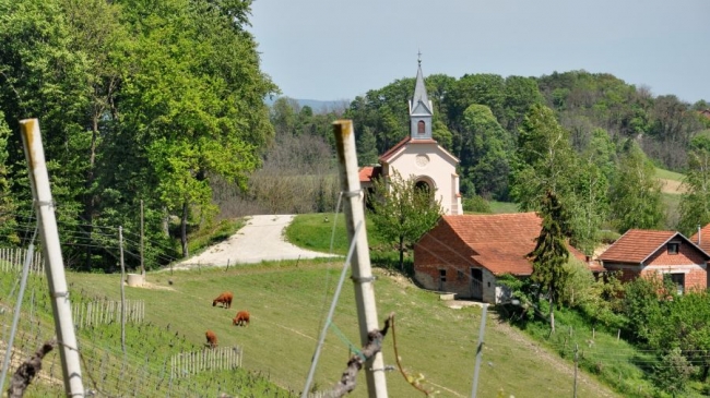 Zagorje zove na Pjenušavi doručak u vinogradu